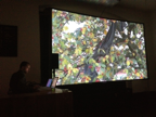 "Le déjeuner sur l’arbre", 2012, Videoinstallation, Soundperformance