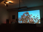 "Le déjeuner sur l’arbre", 2012, Videoinstallation, Soundperformance