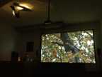 "Le déjeuner sur l’arbre", 2012, Videoinstallation, Soundperformance